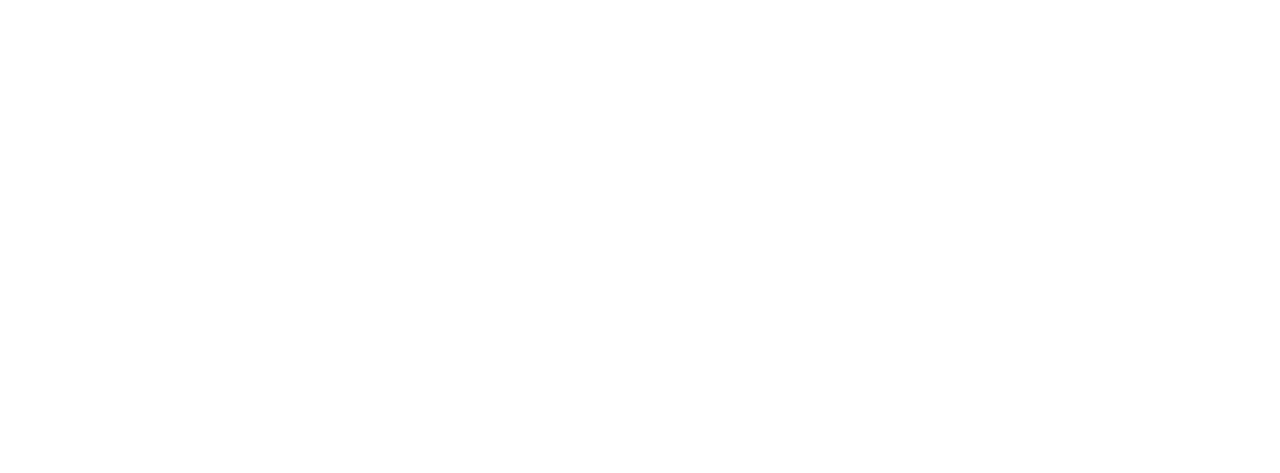 ZIPAM Logo
